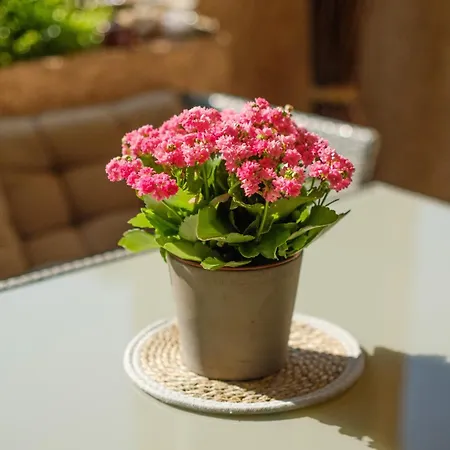 Apartment Vaugrenier Presidences Villeneuve-Loubet