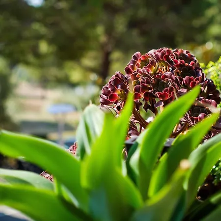 Appartamento Vaugrenier Presidences Villeneuve-Loubet