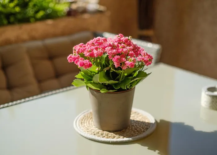 公寓 Vaugrenier Presidences 卢贝新城