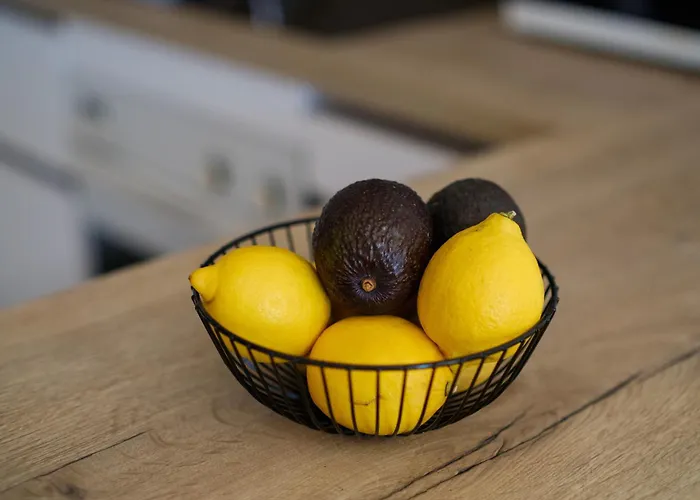 Vaugrenier Presidences 卢贝新城