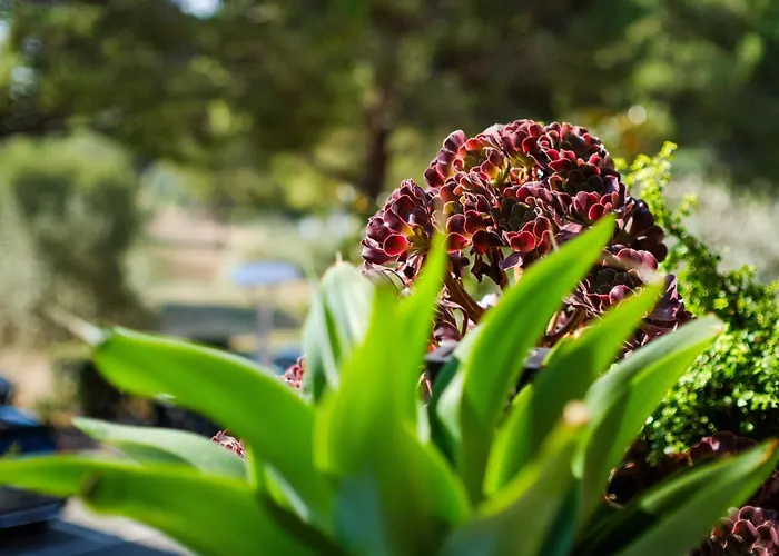 公寓 Vaugrenier Presidences 卢贝新城